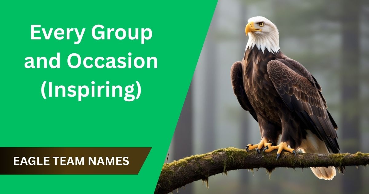 Inspiring Eagle Team Names for Every Group and Occasion