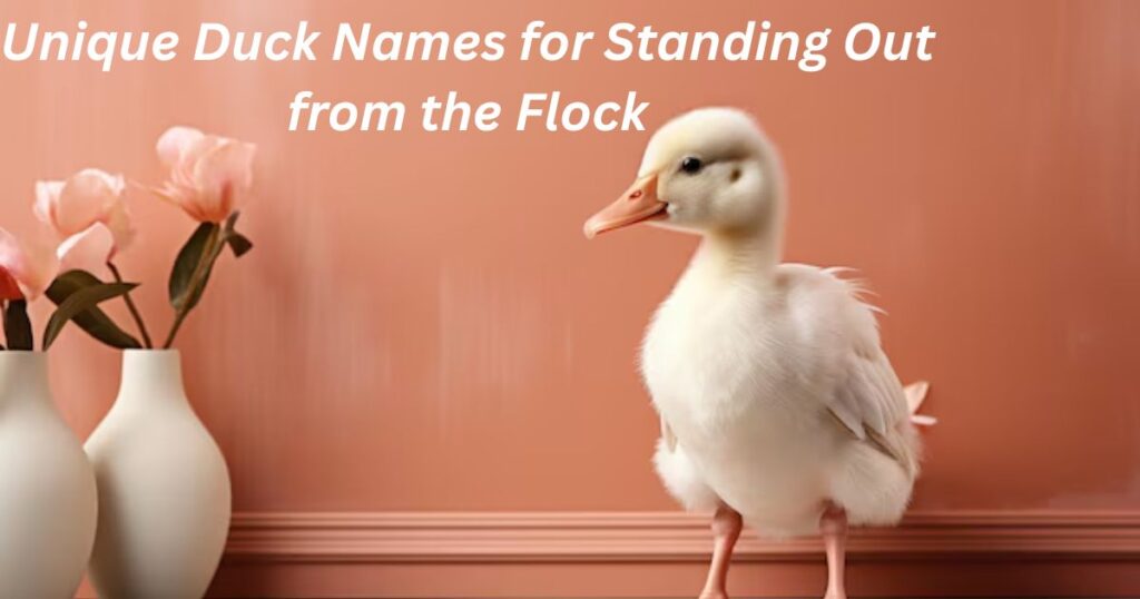 Unique Duck Names for Standing Out from the Flock