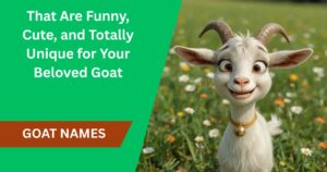 300+ Best Goat Names That Are Funny, Cute, and Totally Unique for Your Beloved Goat
