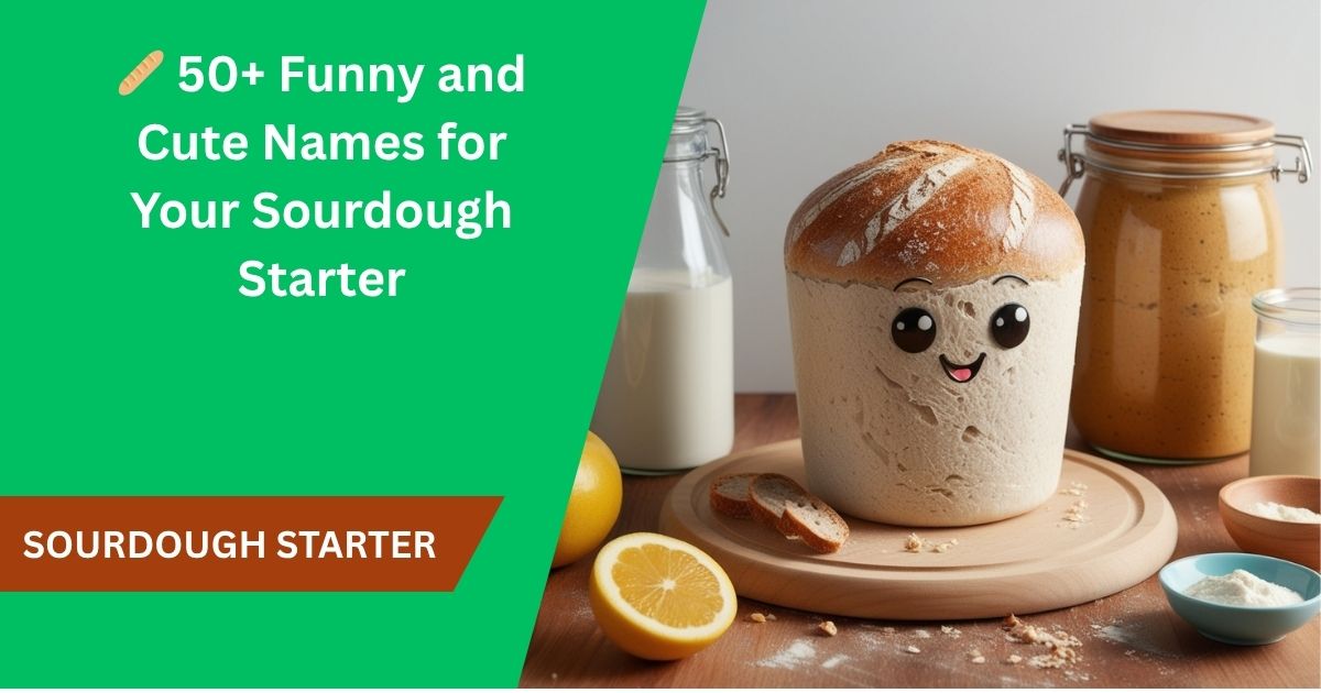 🥖 50+ Funny and Cute Names for Your Sourdough Starter