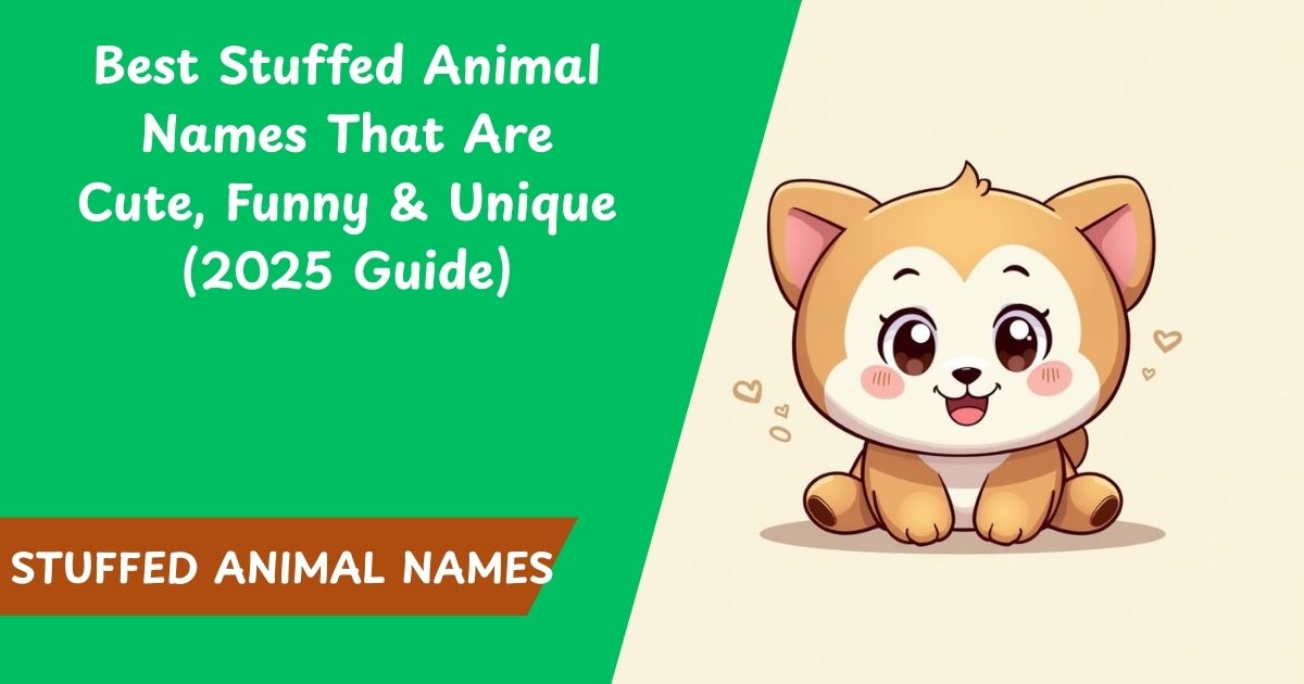 🧸 500+ Best Stuffed Animal Names That Are Cute, Funny & Unique (2025 Guide)