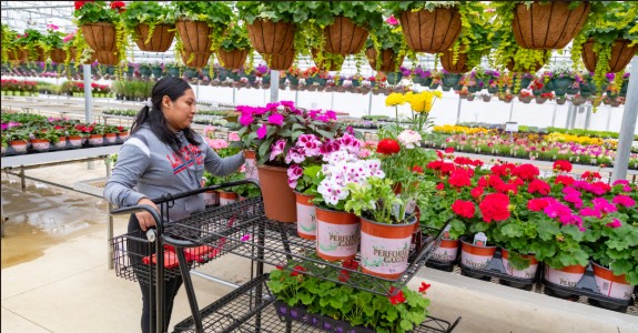Protecting Your Nursery Business: A Guide to Comprehensive Insurance Coverage